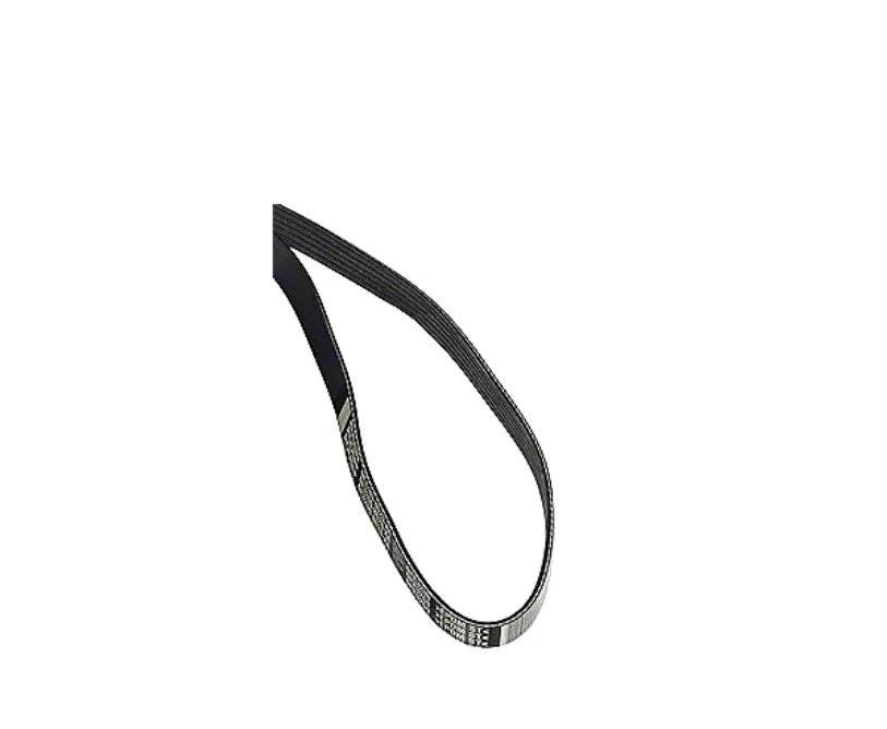 ROUSH FEAD Serpentine Belt 6K 3200 Length